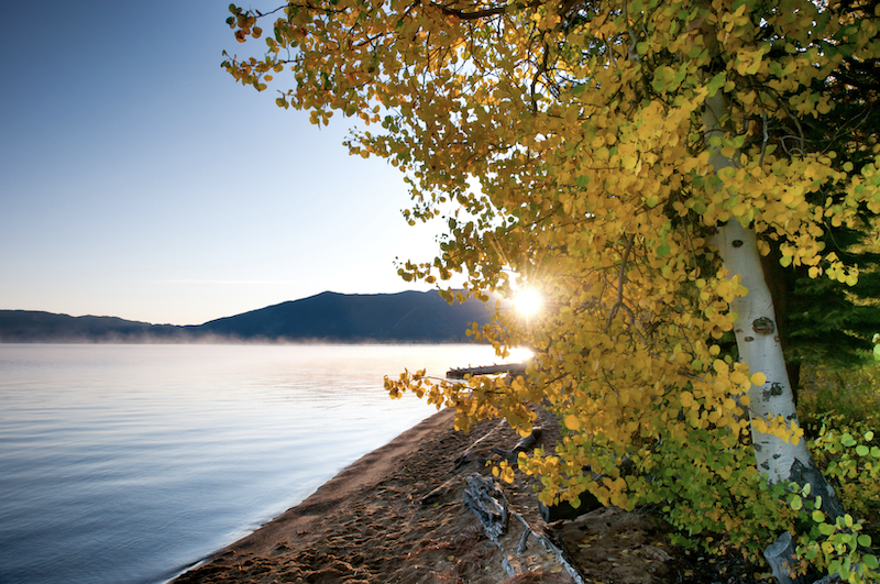 lake tahoe fall colors by the water